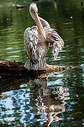 PS官方发布女奎托斯COS 粉丝纷纷喊妈